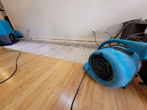 Professional Sewage Cleanup technician working in Auburn, KS